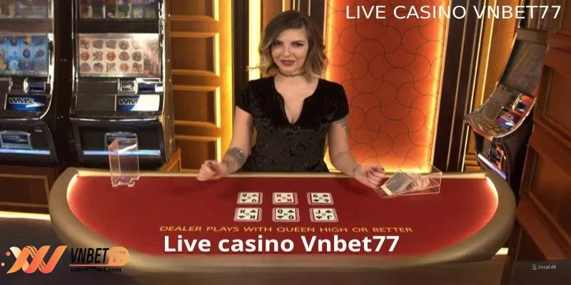 Các sòng live casino tại vnbet77 thu hút rất nhiều hội viên tham gia