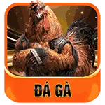 Đá gà vnbet77